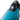 Makita 40V Støvsuger CL001GZ02 solo - 12