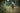 HH Workwear Lifa Merino uld underbuks med lange ben 75506 camo M - 3