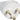 Stikprop lige T85 EDB hvid - 1