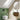 Geberit Sigma40 betjeningsplade m/2 skyl round easy-to-clean  sort mat - 10