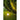 DIEGO havespot GU10 IP65 IK06 sort - 4