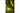 DIEGO havespot GU10 IP65 IK06 sort - 4