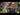 Icon One Bomuld Overalls Mørk Marine C60 - 3